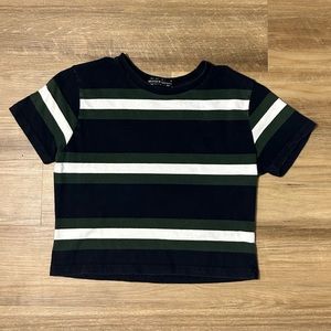 Brandy Melville Helen Blue and Green Stripe Crop Top